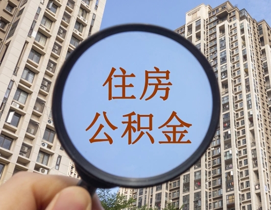 查询公积金-涿州公积金代办平台